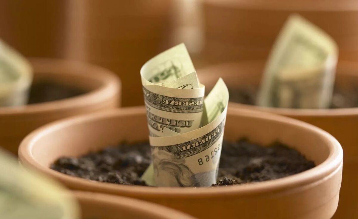 Фото Pixabay.com