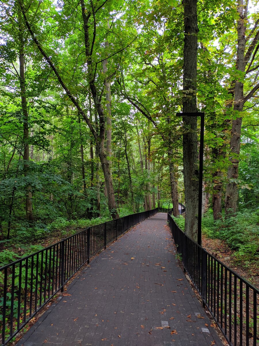 Парк вдоль озера.