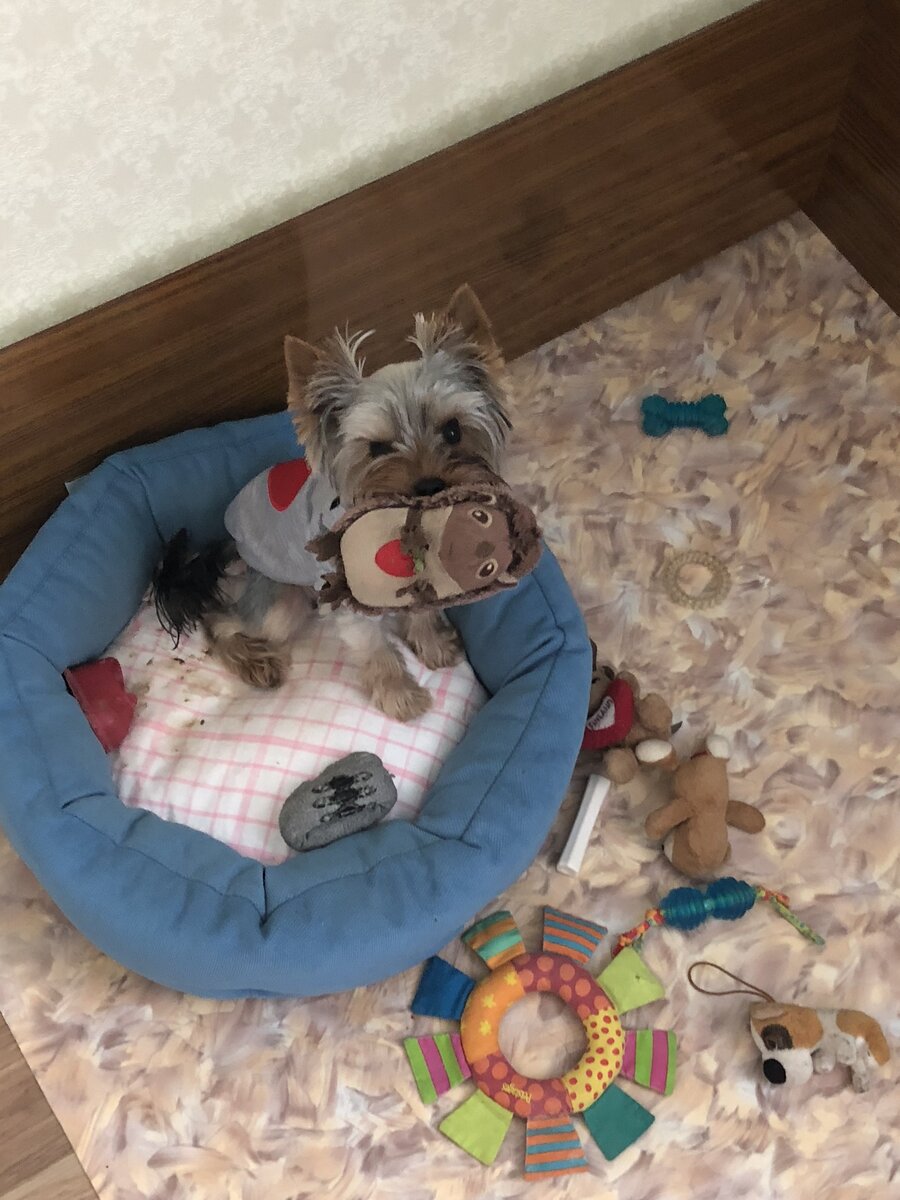 Фото из личного архива