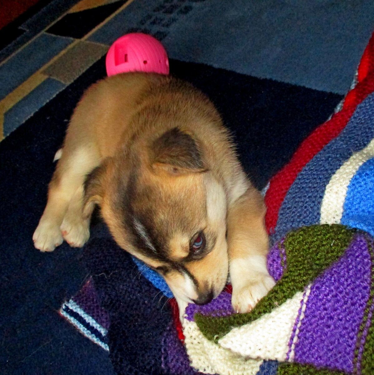 И куда он,этот мячик,девался?