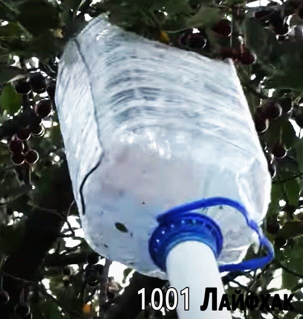 Как выглядит