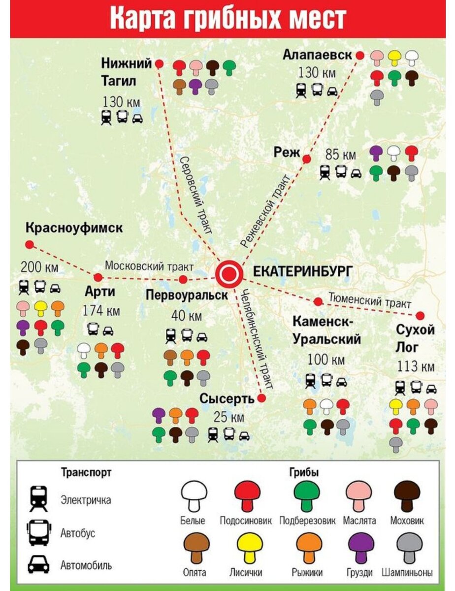 Карта грибника ленинградской области