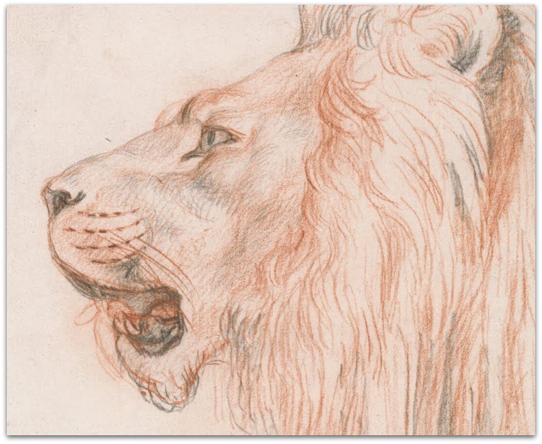 Голова льва. Неизвестный художник. 1724 г.