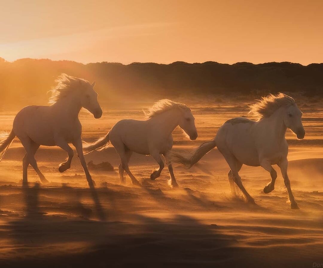 Бизнес- это источник невероятного наслаждения.