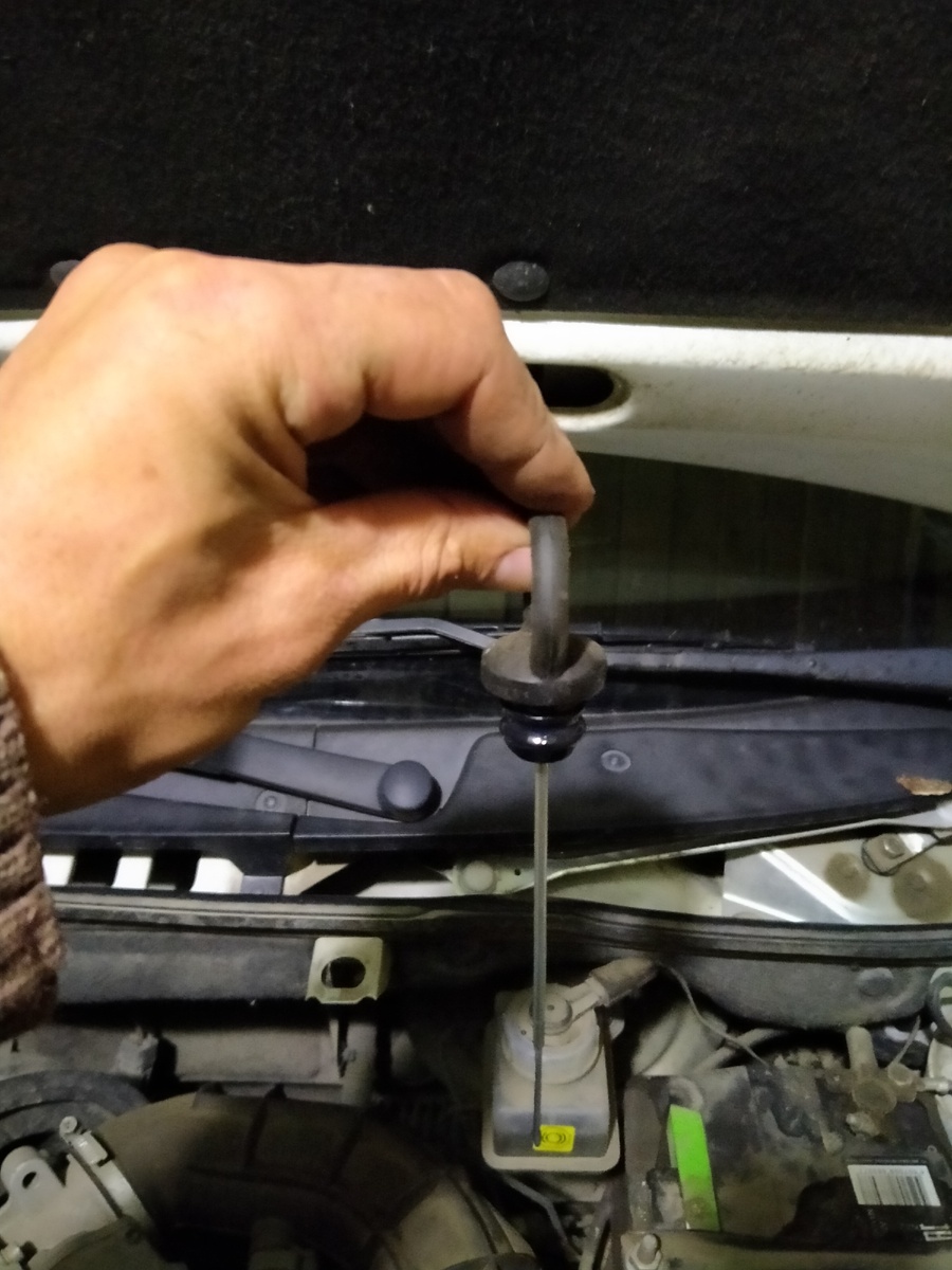 Вот так его надо вставлять.