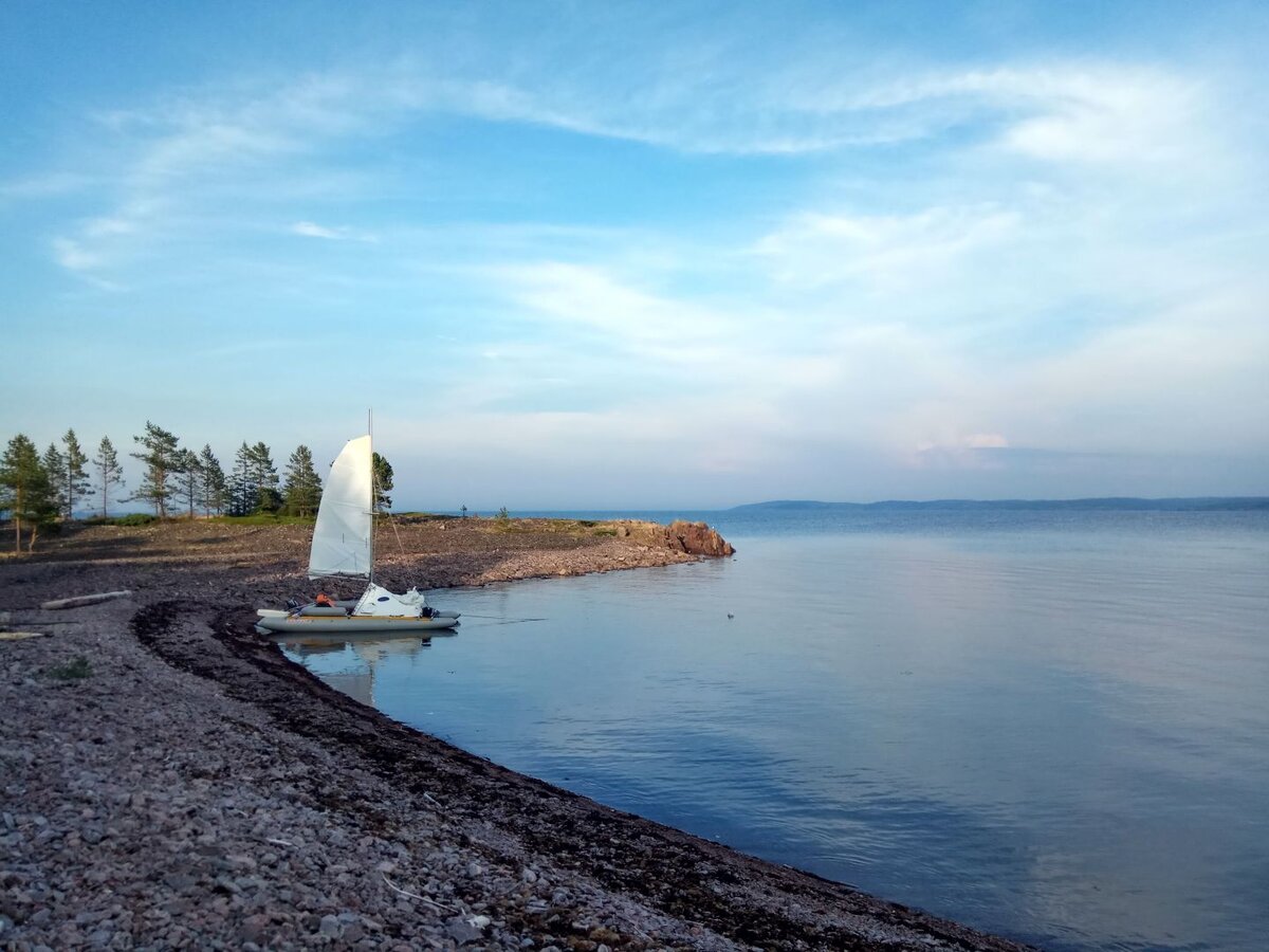 Остров сосновец в белом море фото