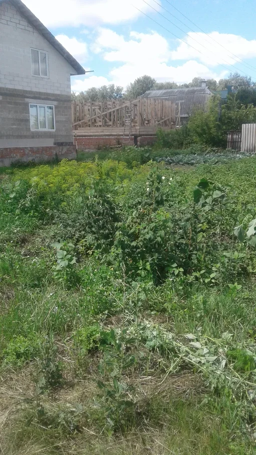 Вспахать под зиму огород или не стоит? А потом весной повторить второй ...