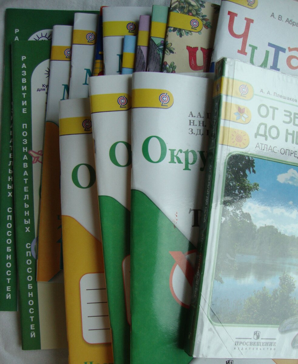 Вот такую стопку дополнительных пособий закупили к первому классу