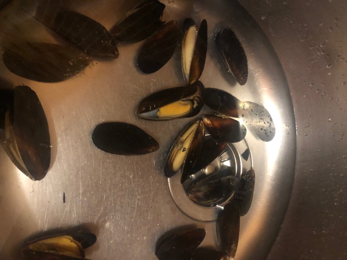 Мидии раскрываются в воде.
