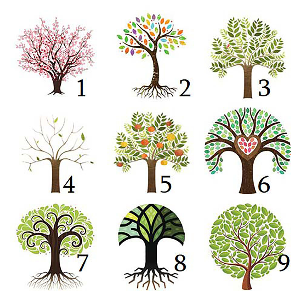 Какое из изображенных деревьев привлекает вас больше всего?