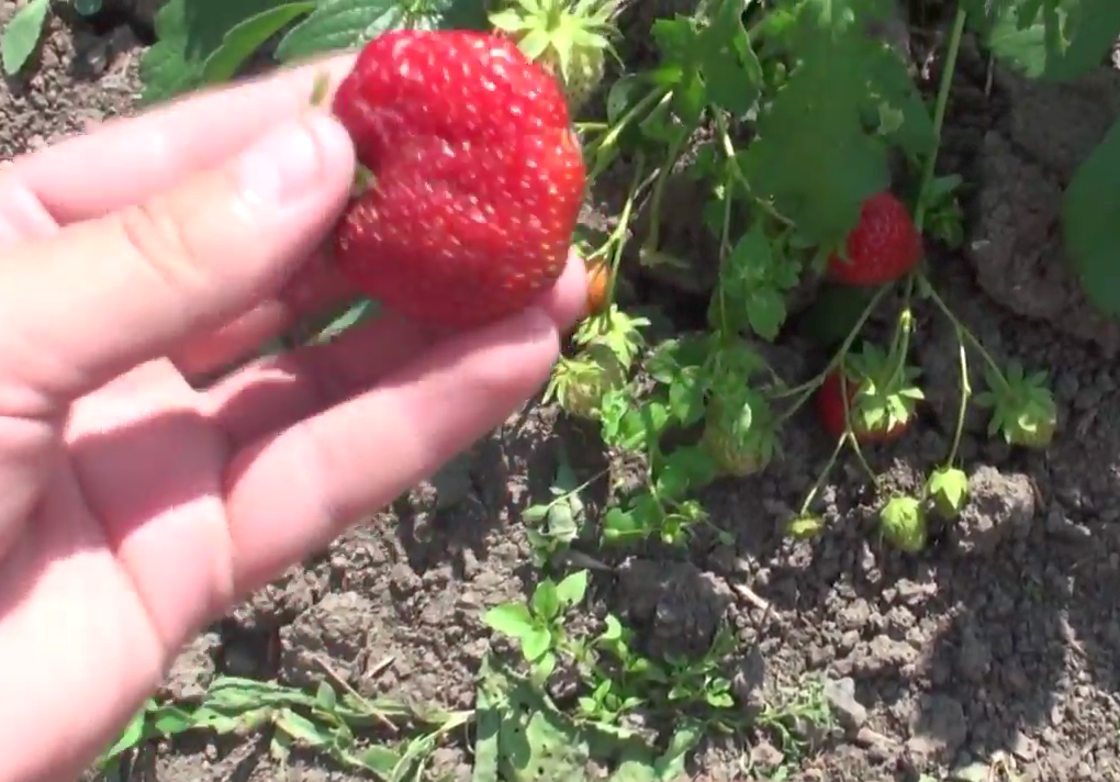 Фото сделано в 2020 г.