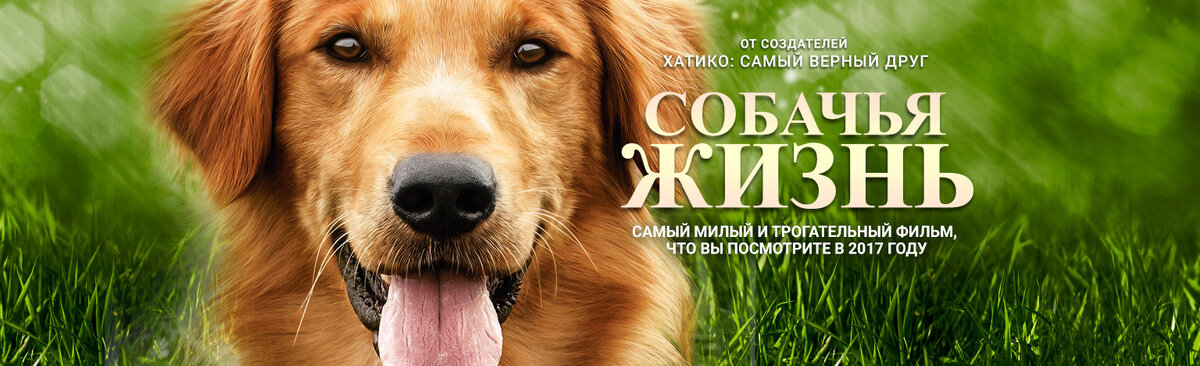 Собачья жизнь