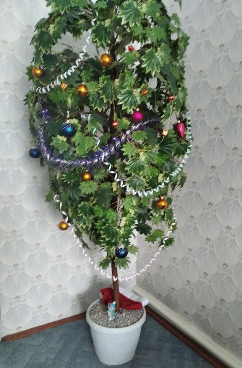 Многие покупают живые ёлки, а кто-то искусственные, мы украшаем домашнее дерево.