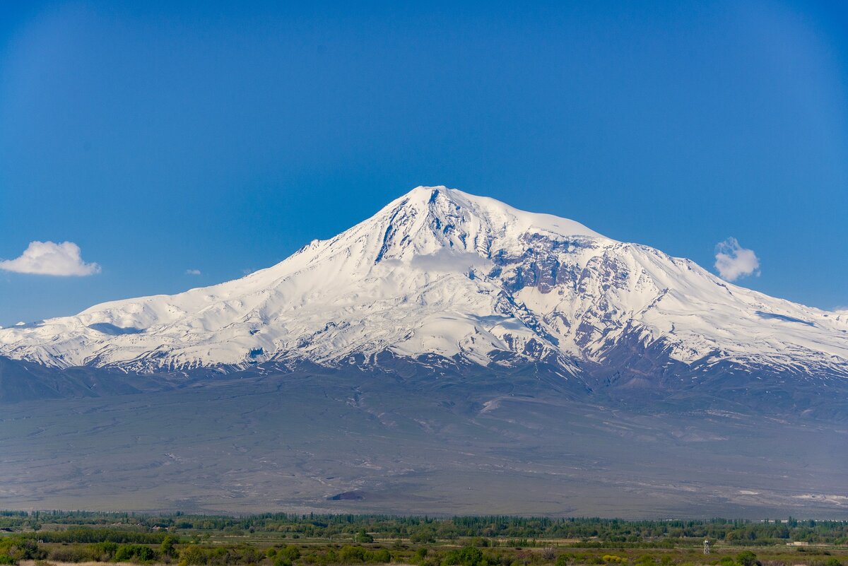 Арарат