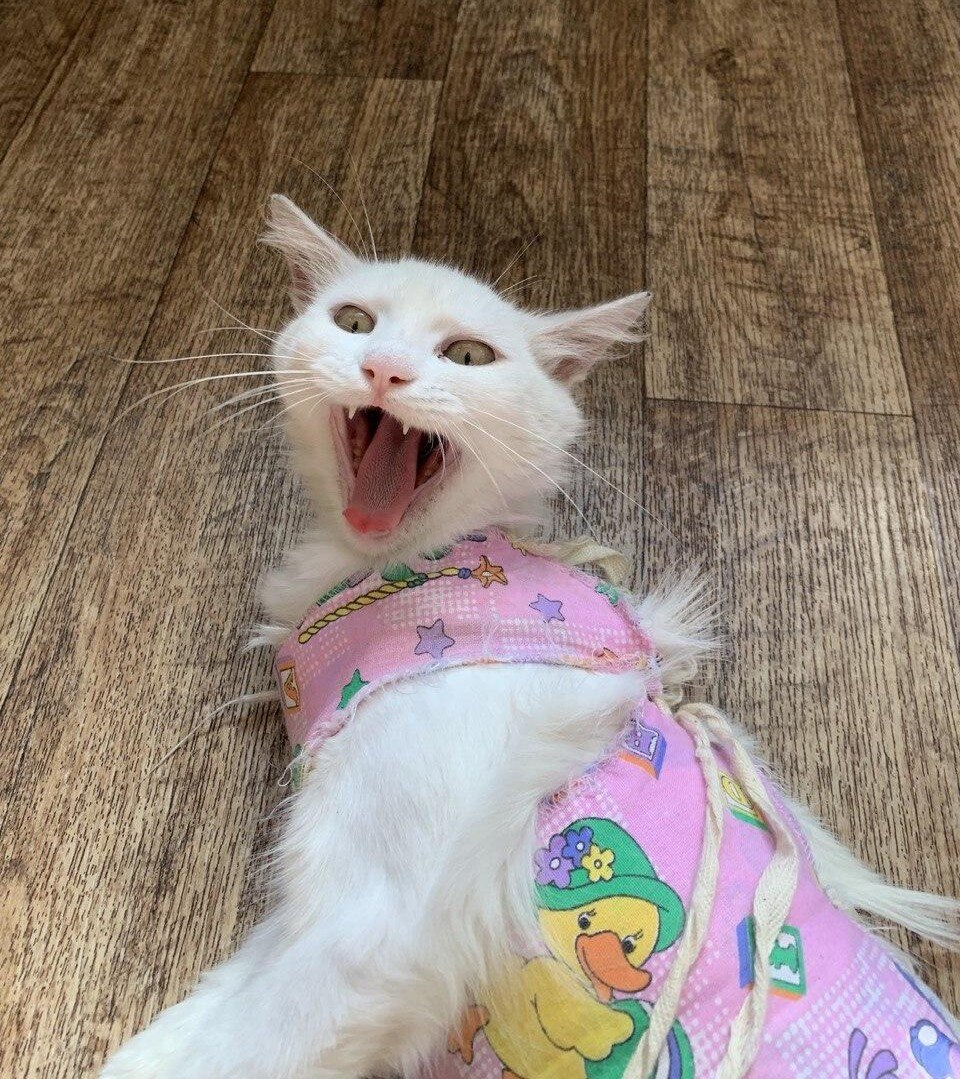 Где мое повышение?