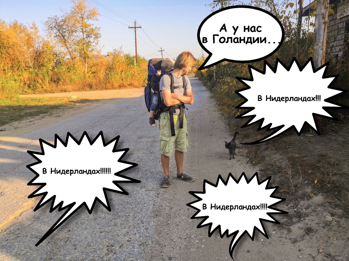 Такая ситуация обычно! :D Коллаж: жена делала