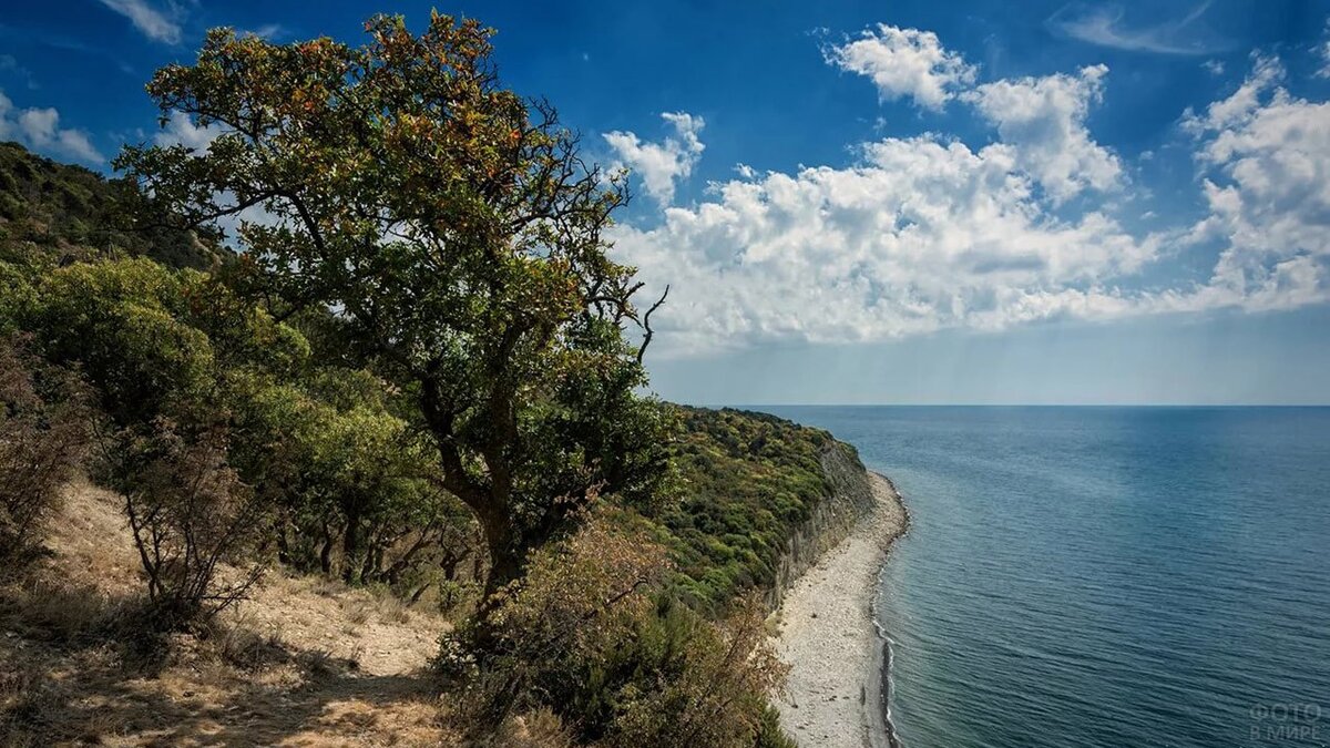 море в утриш