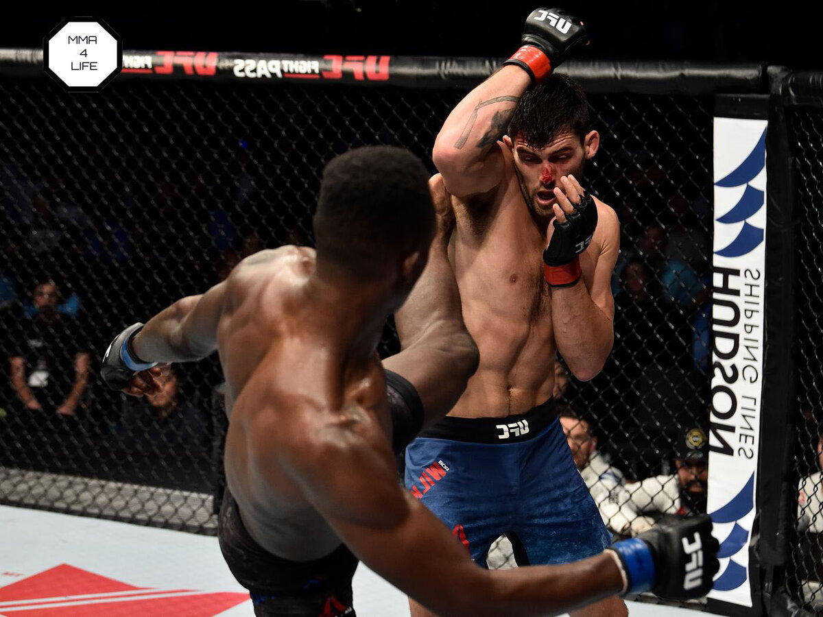 Исраэль Адесанья и Роберт Уилкинсон