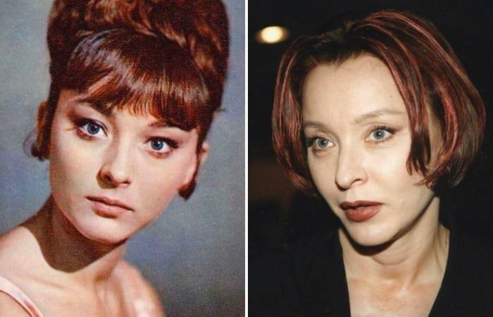 Из сети интернет