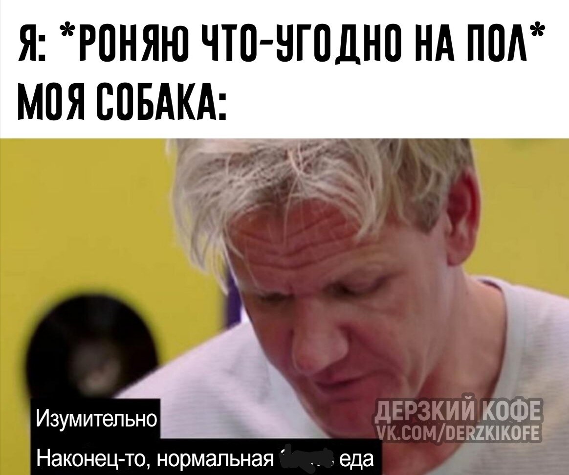 А из миски корм супер-премиум не ест 