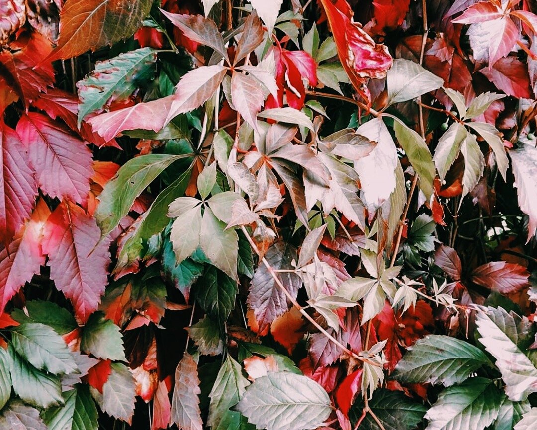 Готовим дачу к зиме