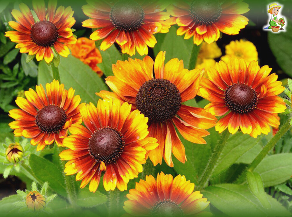 фото из открытых источников в интернете