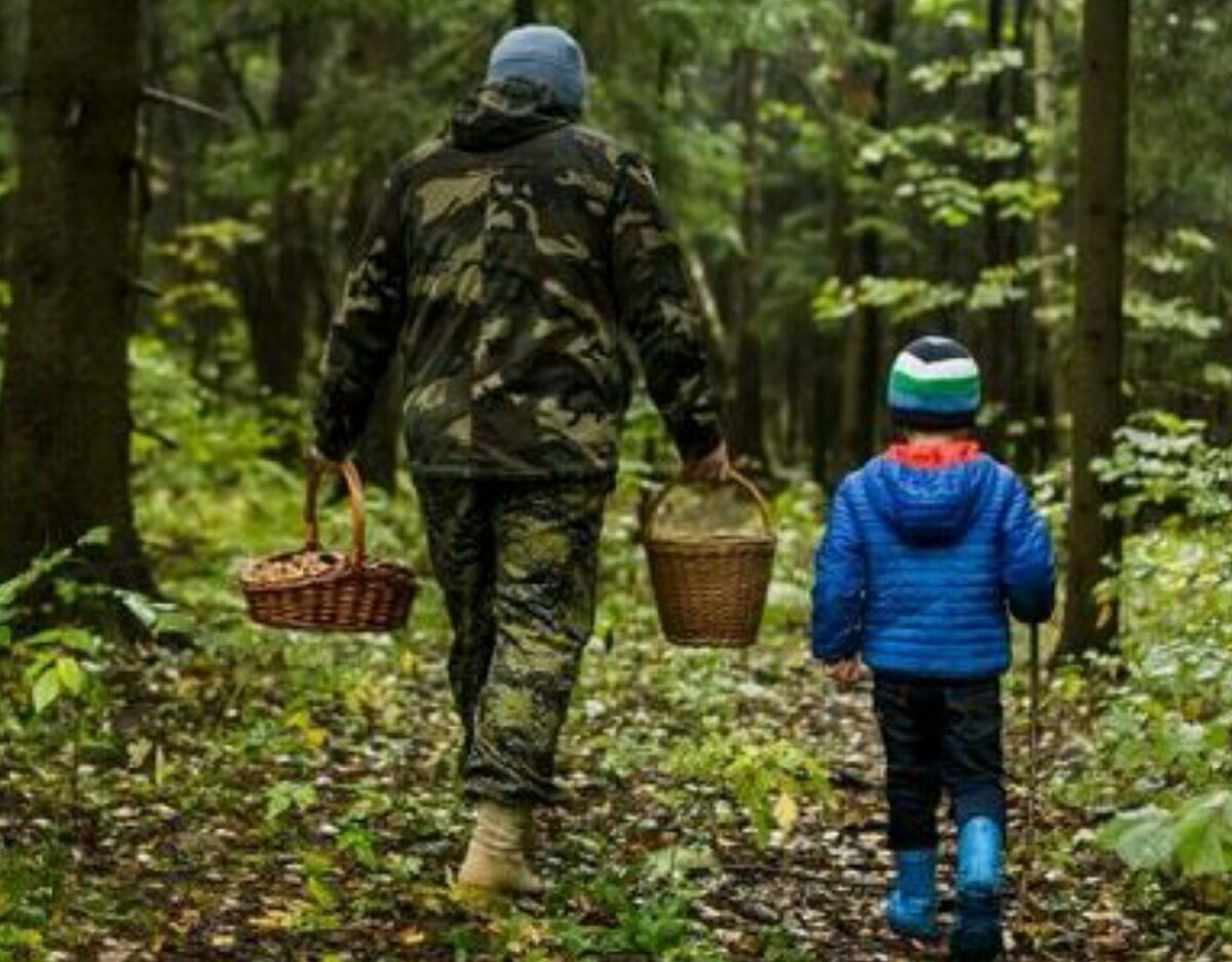 Картинки Яндекс. Фото. 