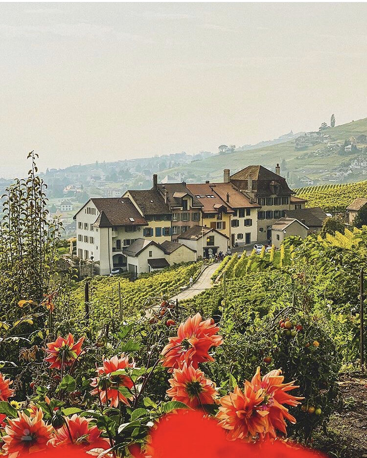 Фото из Instagram Министерства туризма Швейцарии