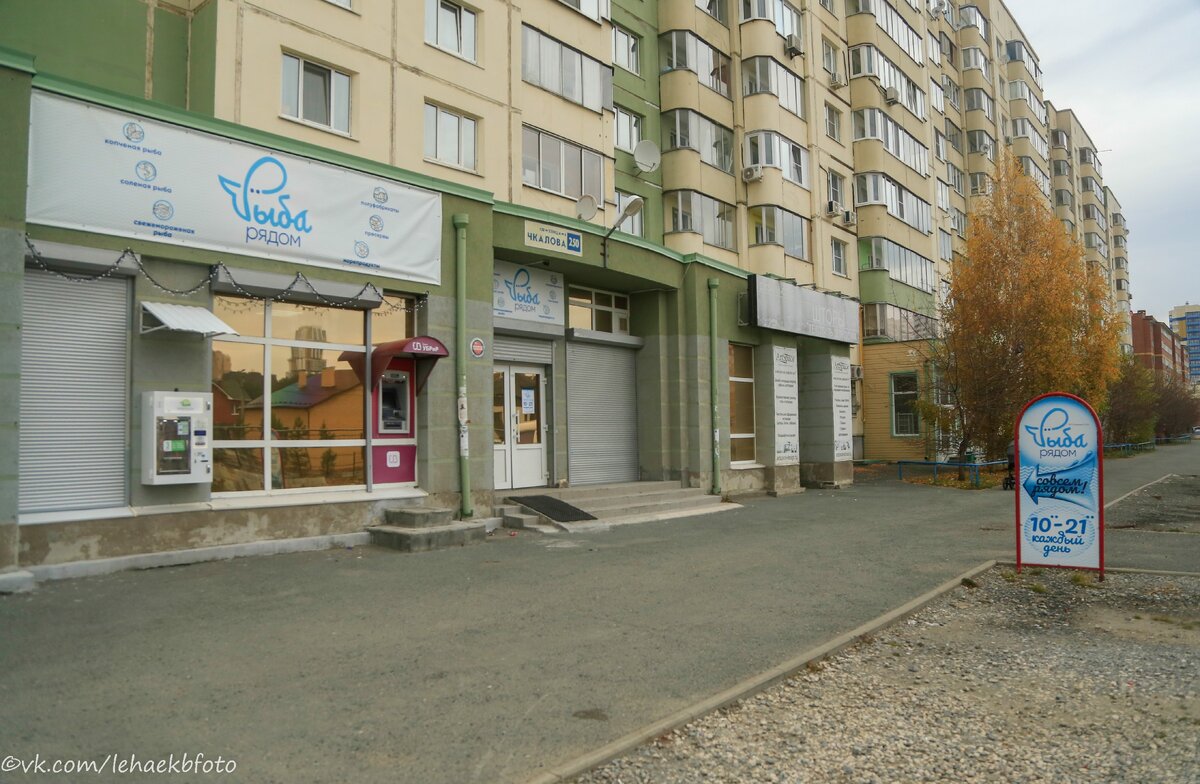 женская чкалова телефон. екатеринбург, чкалова ул. сладкий магазин чита. женская консультация иваново войкова. чкалова 9а нижний новгород.