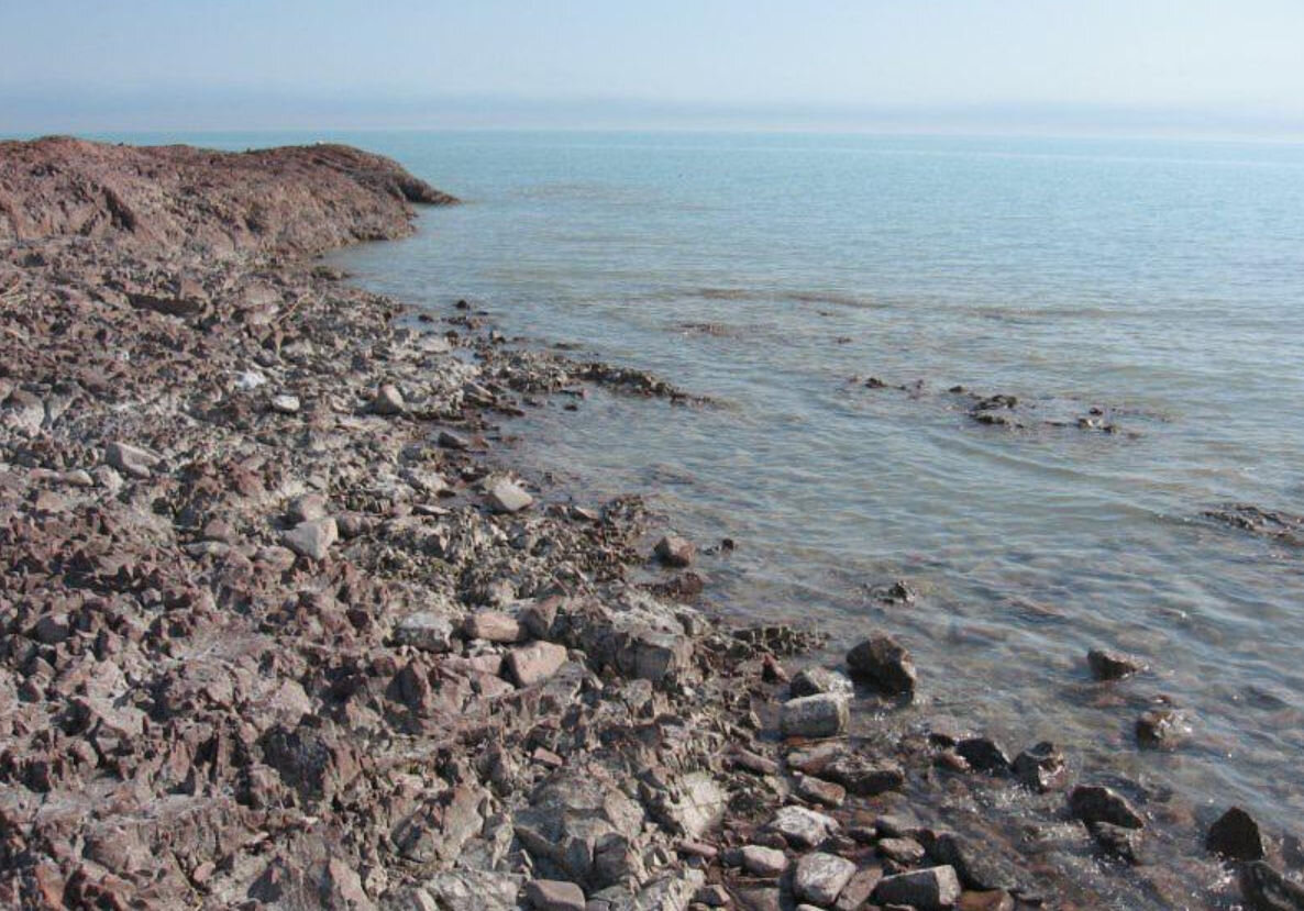 Пути решения балхаша. Аральское море на Балхаш. Балхаш экология. Озеро Балхаш загрязнение. Загрязнение Балхаша.