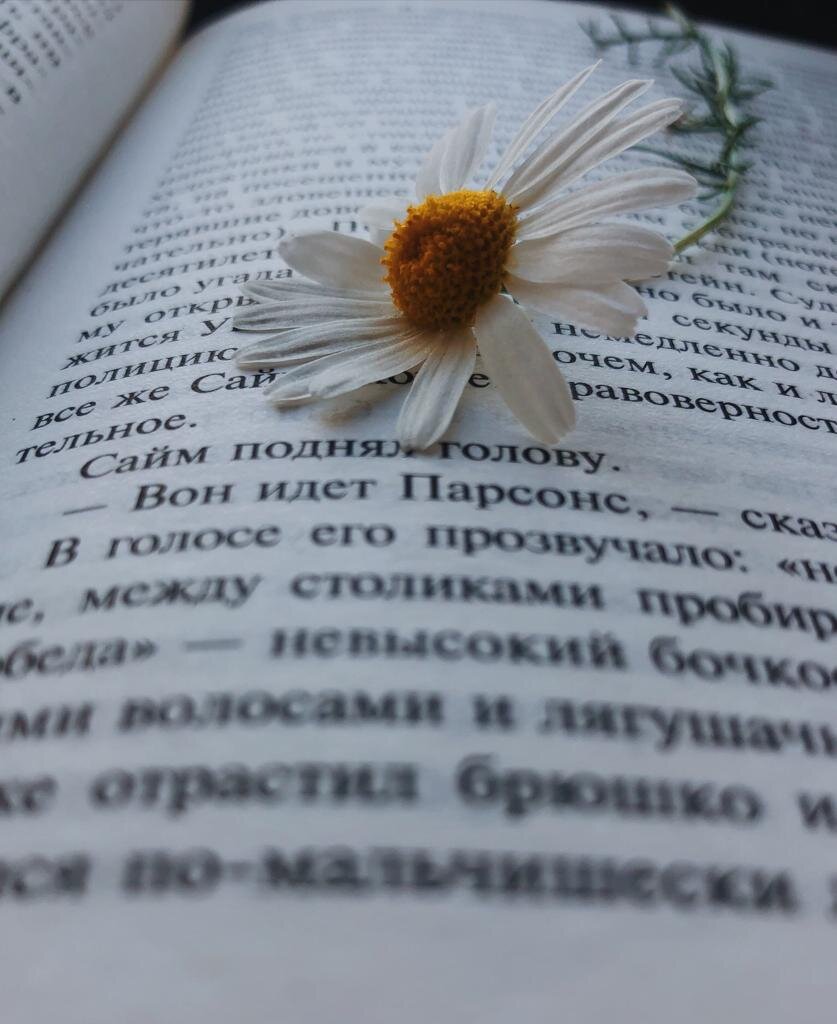 Как в природе все связано и продумано, так и в языке каждый звук и слово играют свою роль. Пойми как они двигаются по этой сцене и стать полиглотом станет легко.