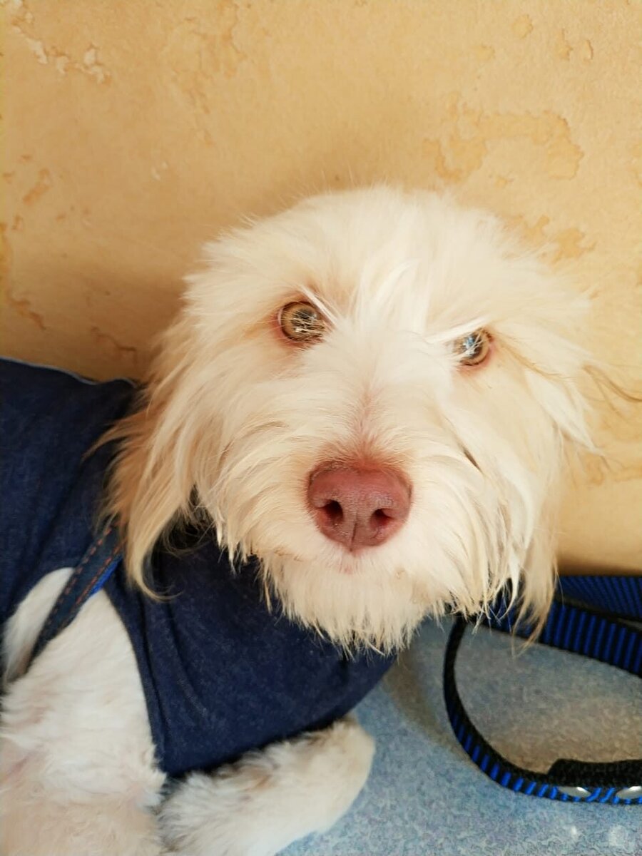 спасенная душа астрахань дзен