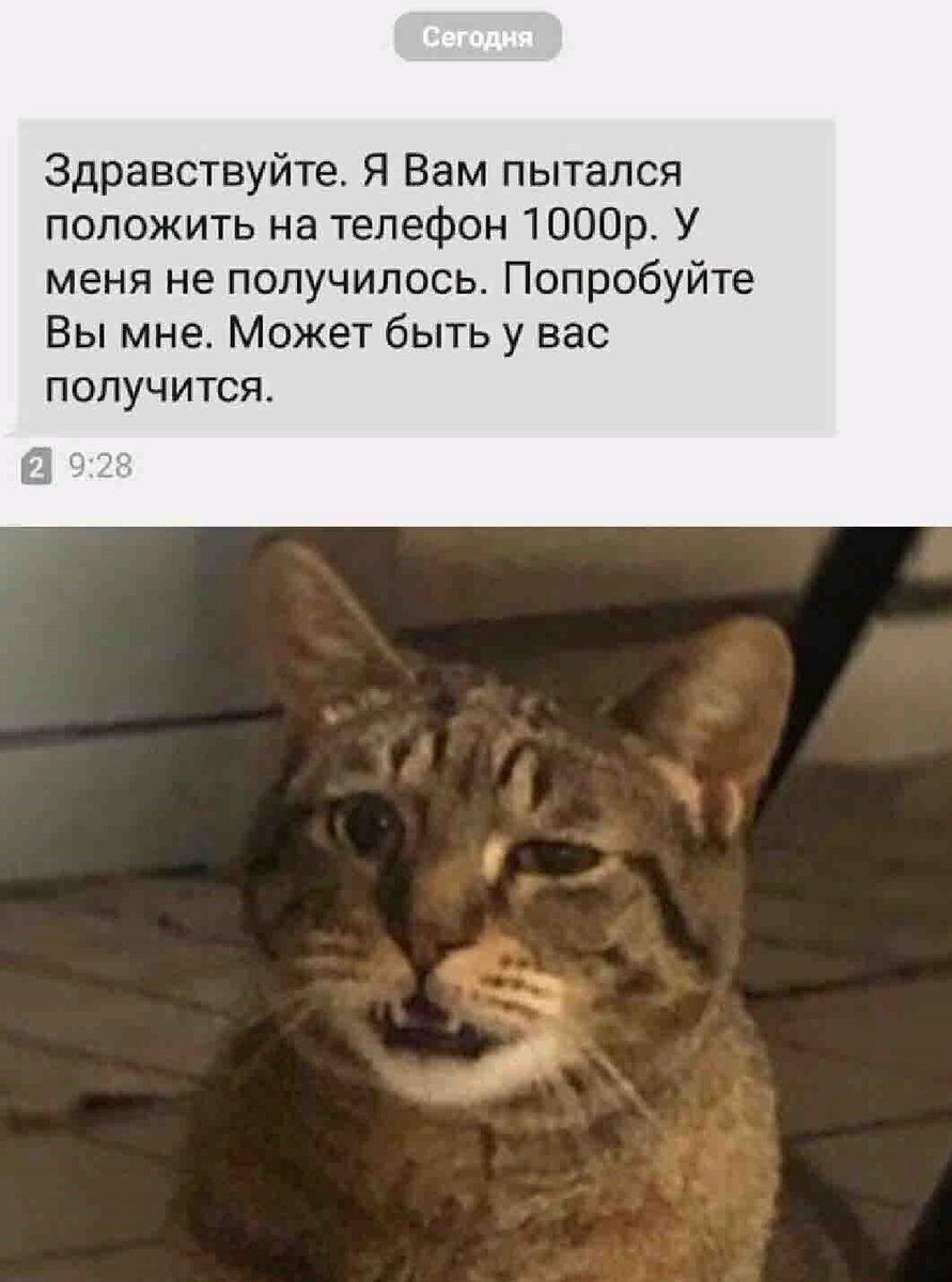 Способов обмана много. 