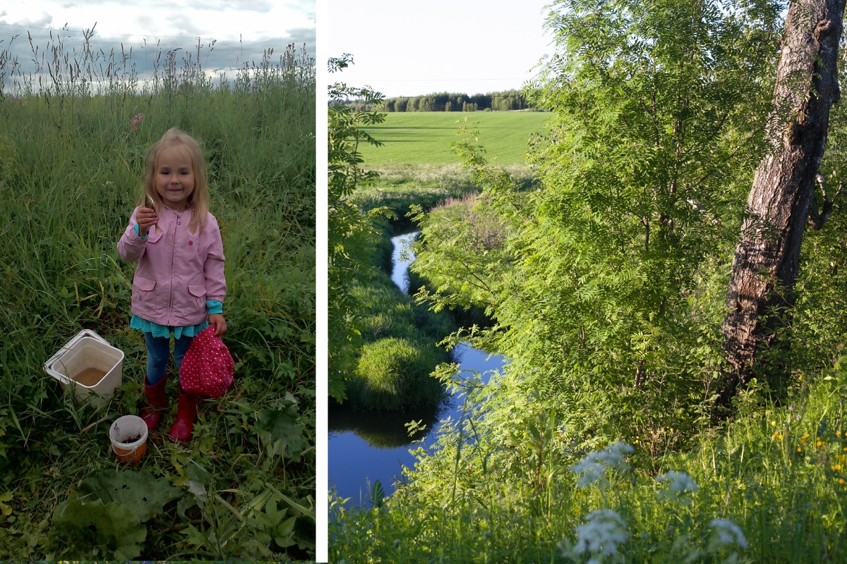 Окунь - улов дочки. Река, где был выловлен окунь
