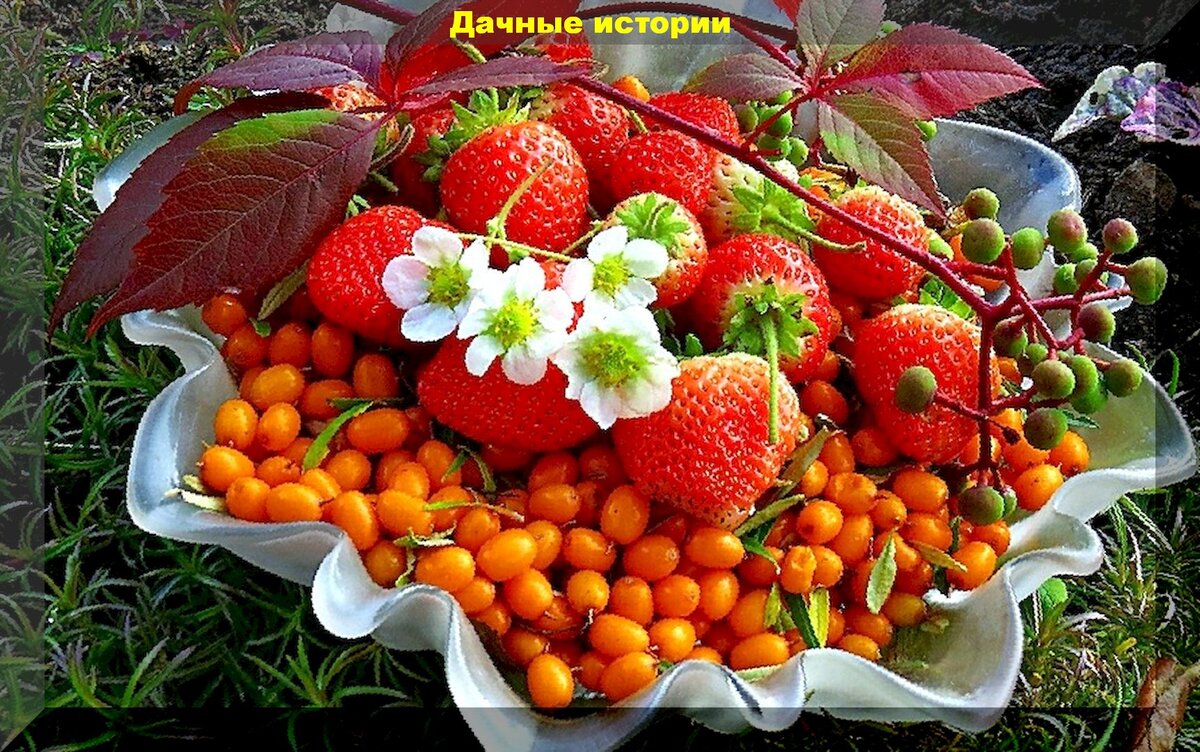 https://vk.com/photo-159774511_457244515