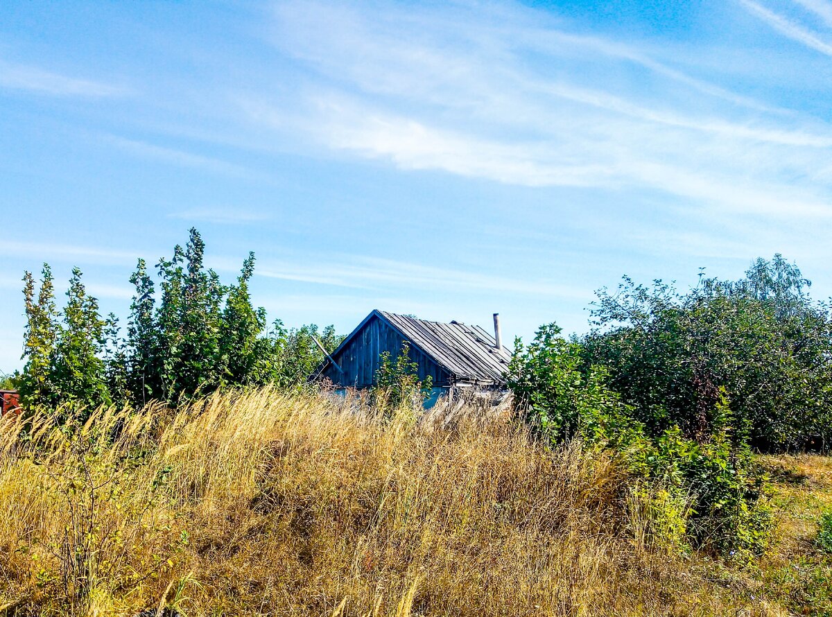 Куда поселок. Мучкапский район Тамбовской области село Прудки. Село Прудки Мучкапского района. Деревня Прудки. Деревня Прудки Грязинского района.