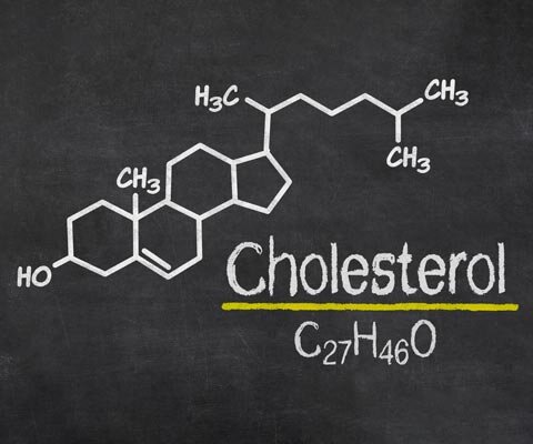 Повышенный холестерин в крови у женщин и мужчин