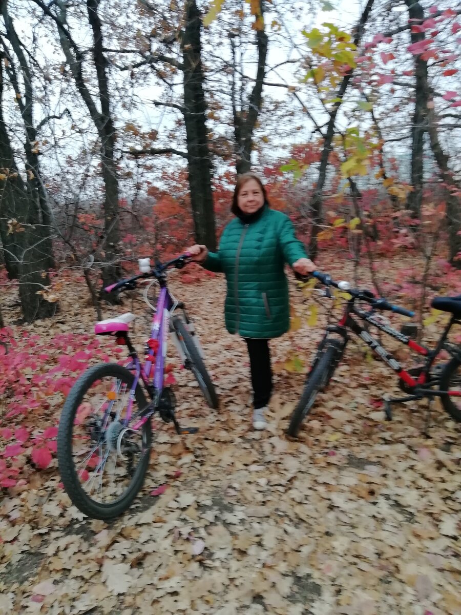 здесь и дальше иллюстрации с общедоступных сетевых ресурсов и из личного архива.