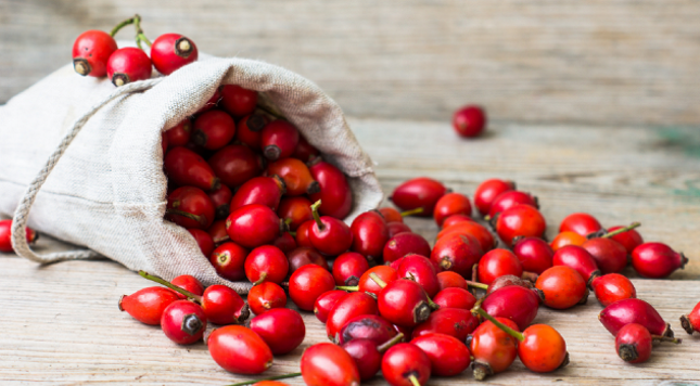 Полезные свойства шиповника использовали еще наши бабушки.