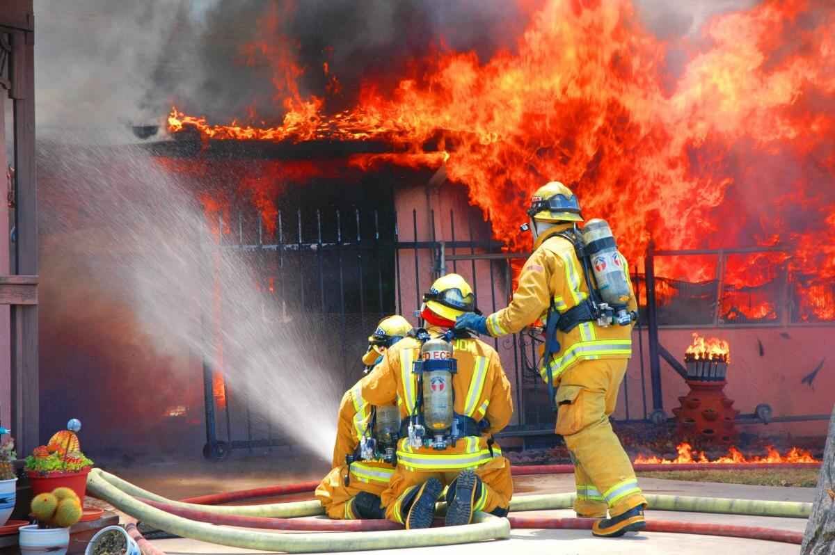 фото из интернета.