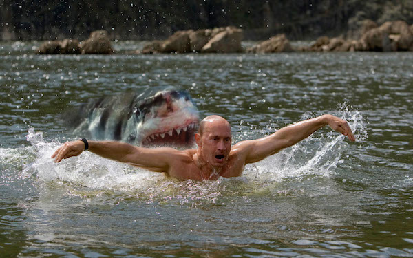 Немного фотошопа добавили пикантности данному заплыву. "Вы же говорили, что лососевых ловить будем на блесну"