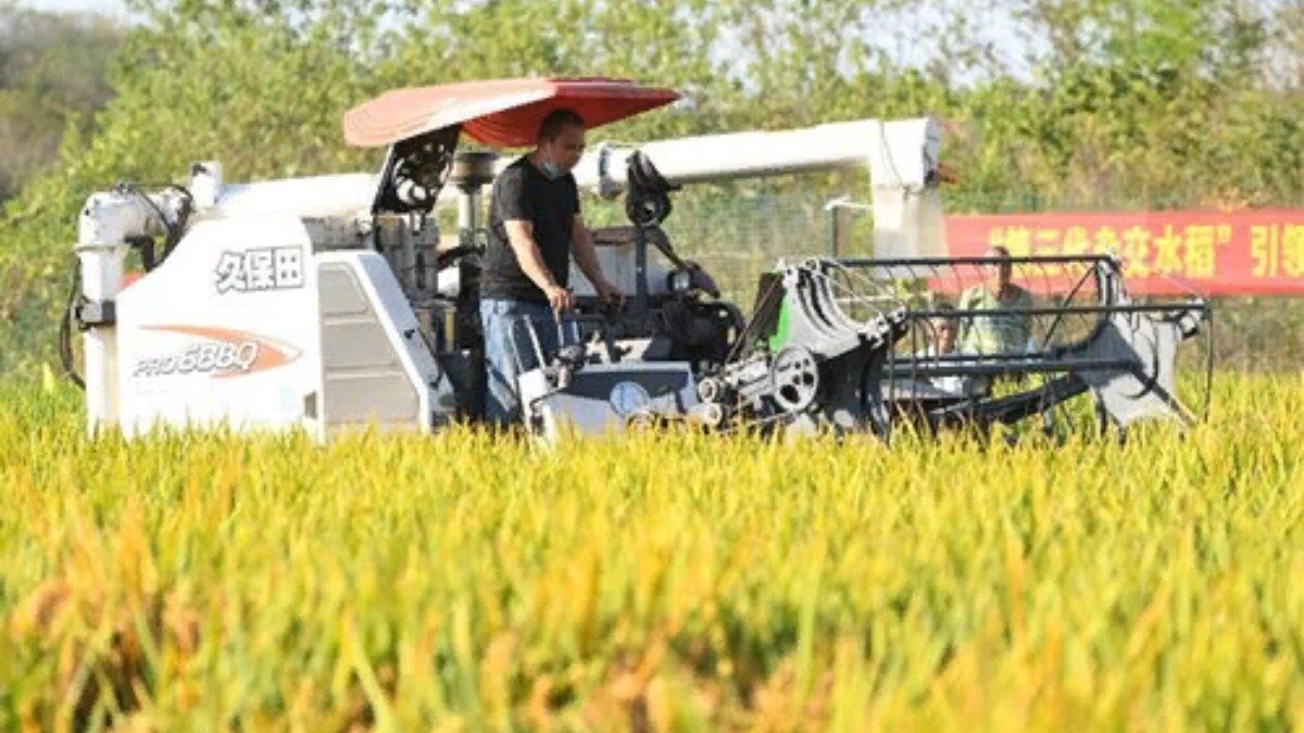 Фото:www.ecns.cn

