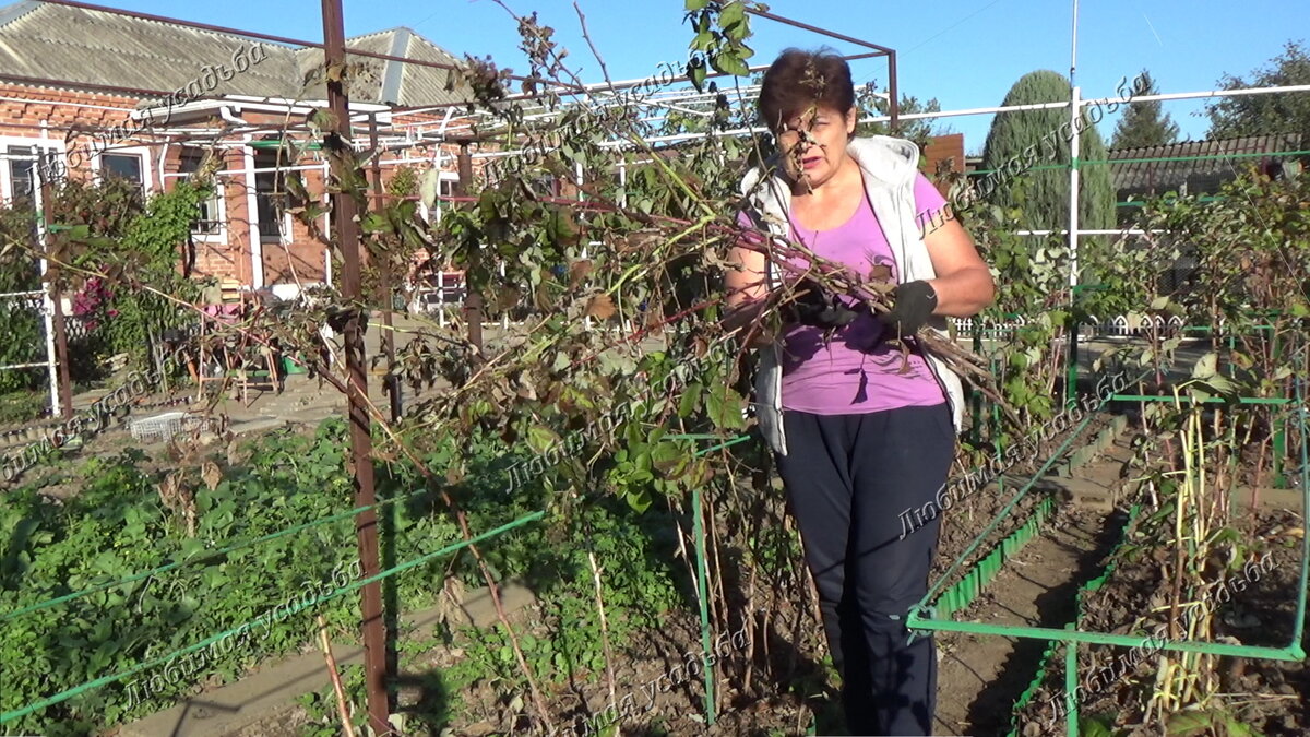 Можнообрезать все под корень.