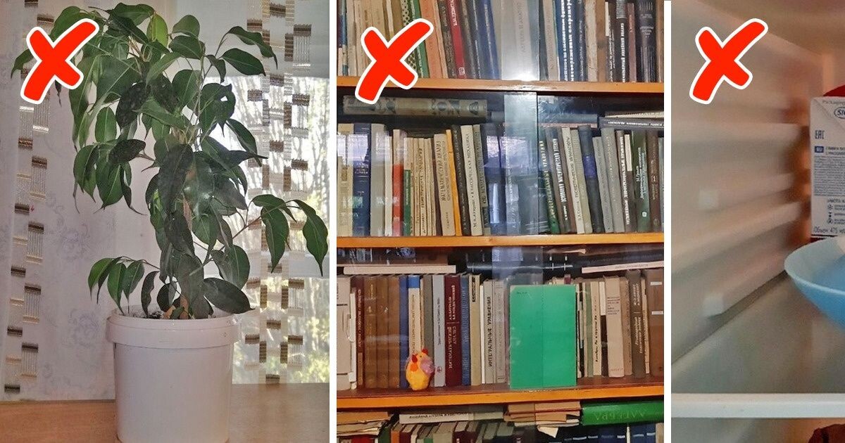 Фото из сайта https://brightside.me/