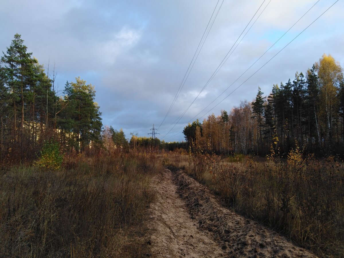 Какава красота осени