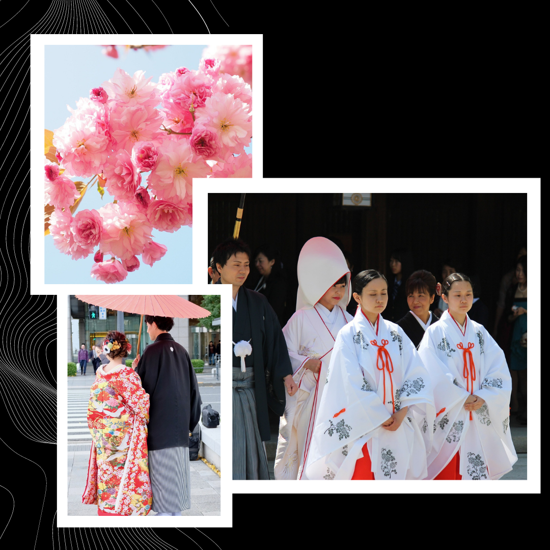 Картинки для коллажа взяты из Яндекс. Коллекция