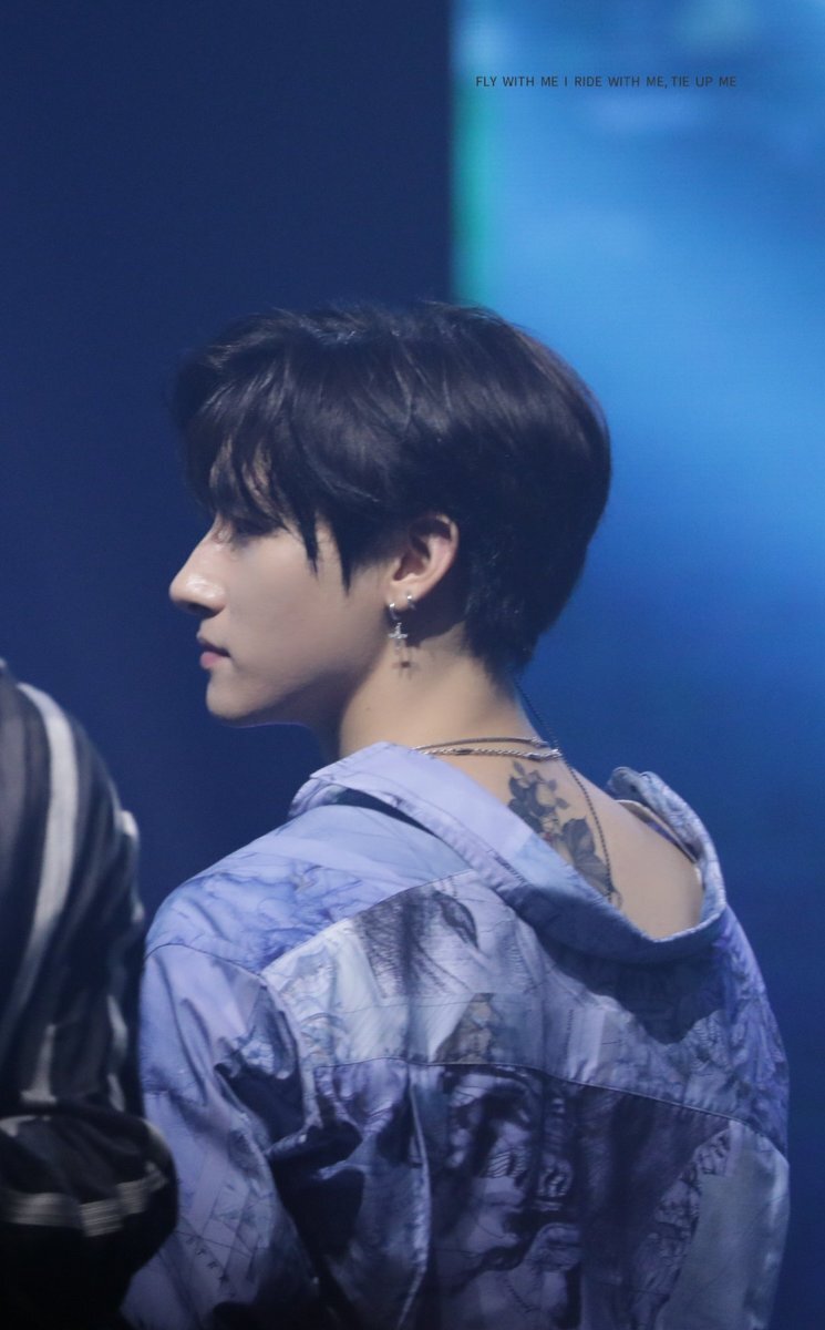 Яндекс картинки 