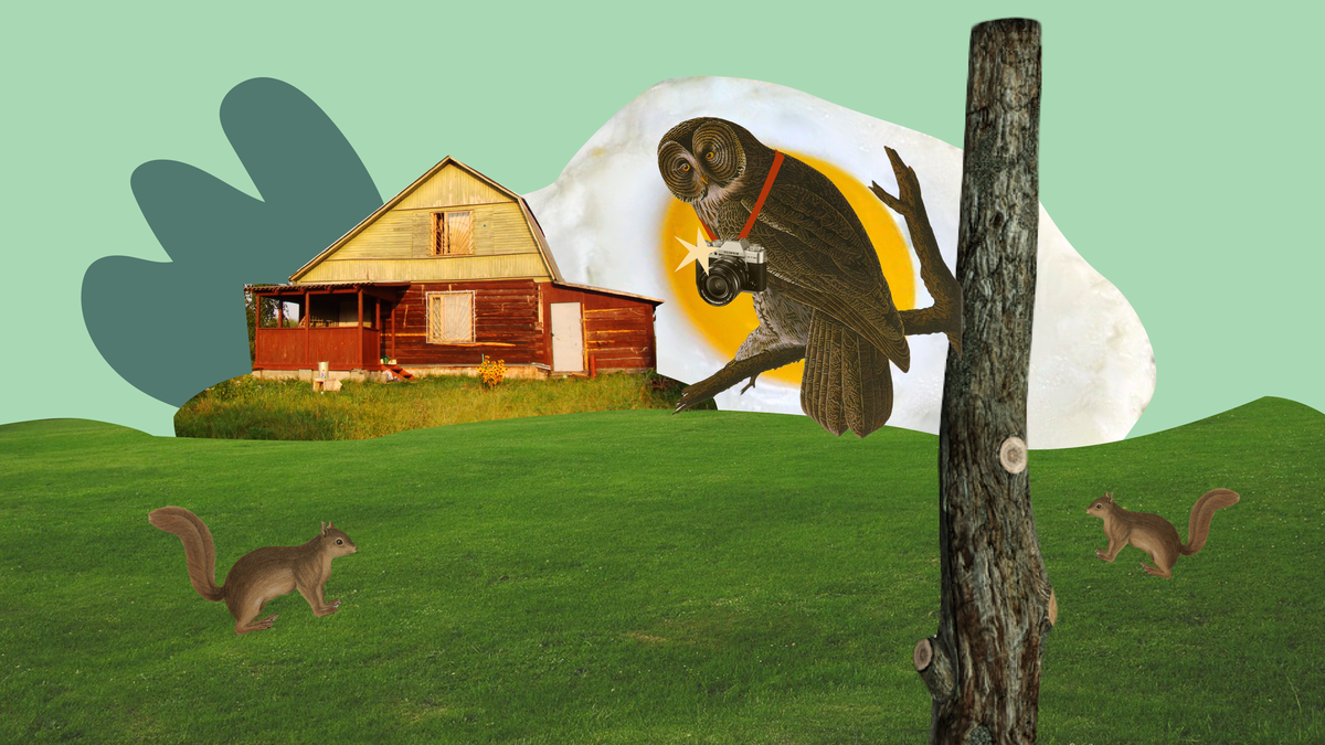 автор иллюстрации Маша Соколкова.