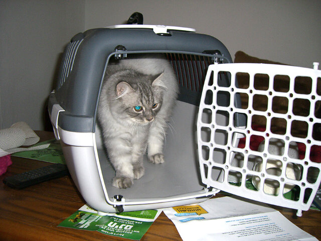 Август 2007 года. Только-только привезли из магазина.