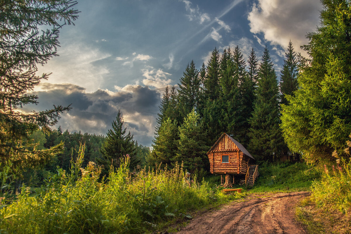 Таёжная избушка.          Источник фото:http://s3.fotokto.ru/photo/full/322/3222088.jpg